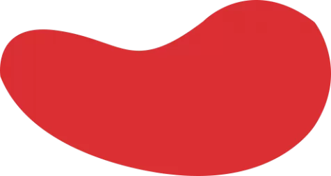 雷竞技「中国」官方网站-RAYESPORTS