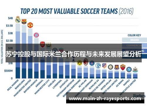 苏宁控股与国际米兰合作历程与未来发展展望分析