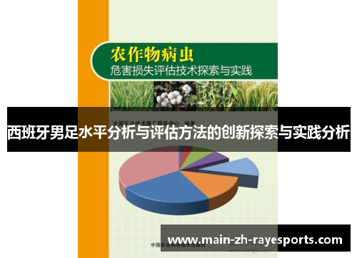 西班牙男足水平分析与评估方法的创新探索与实践分析