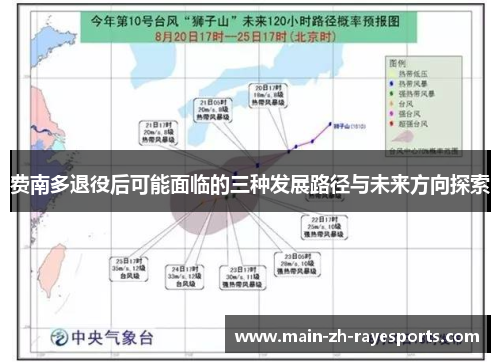 费南多退役后可能面临的三种发展路径与未来方向探索