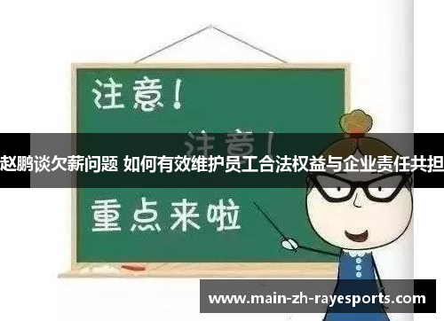 赵鹏谈欠薪问题 如何有效维护员工合法权益与企业责任共担