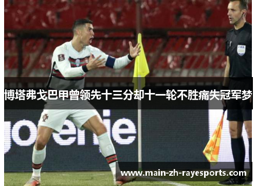 博塔弗戈巴甲曾领先十三分却十一轮不胜痛失冠军梦