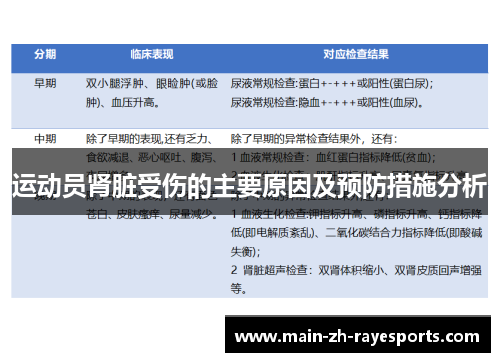 运动员肾脏受伤的主要原因及预防措施分析 运动员肾脏受伤的主要原因及预防措施分析